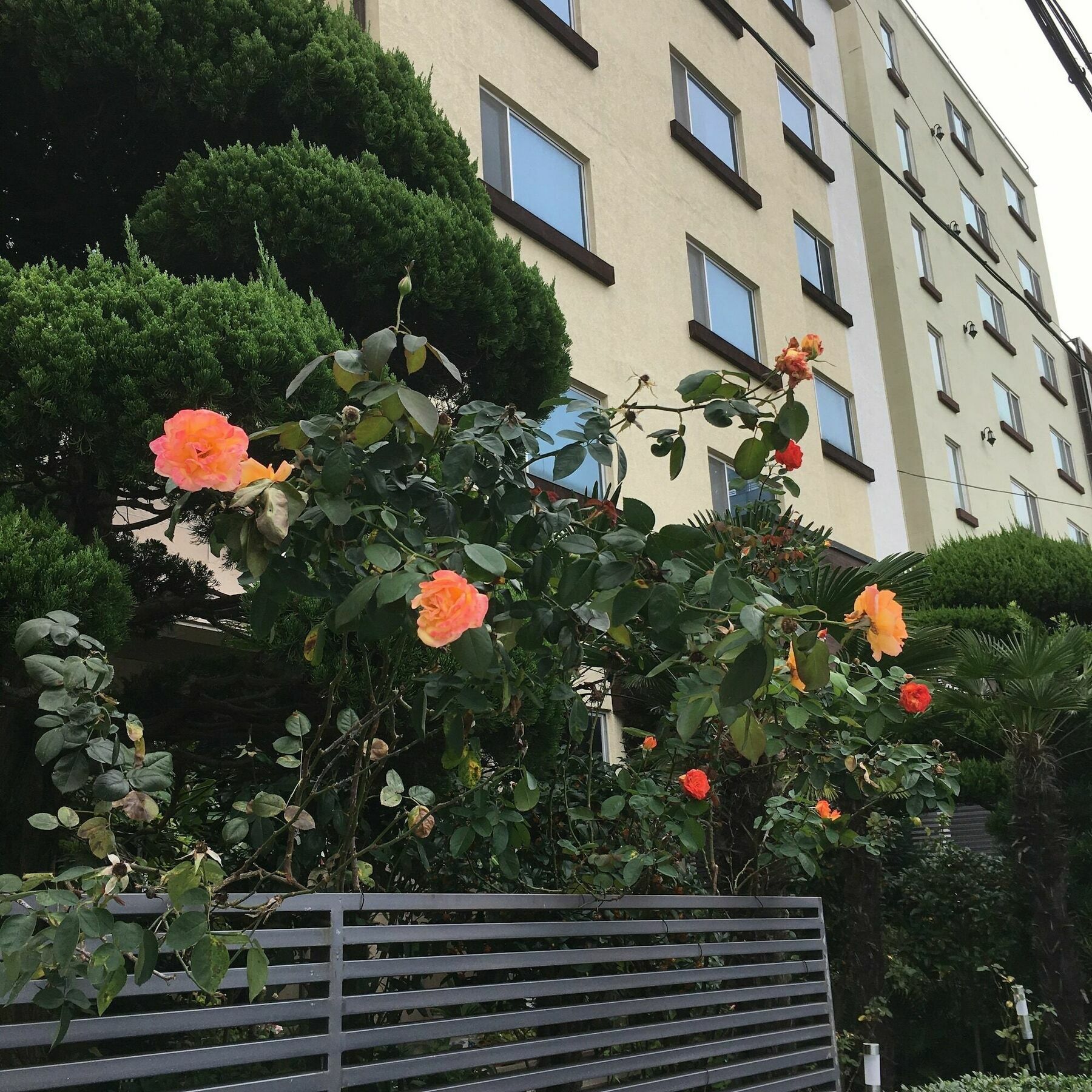 Charmant Hotel Mokpo Bagian luar foto